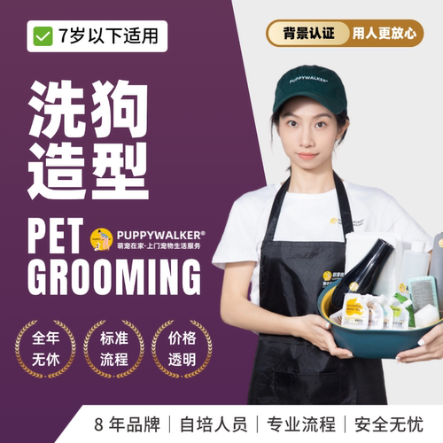 萌宠在家宠物上门狗洗澡剪毛造型