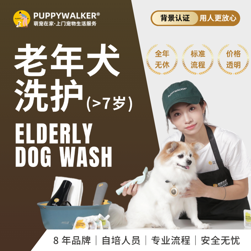 萌宠在家宠物上门狗洗澡深层清洁