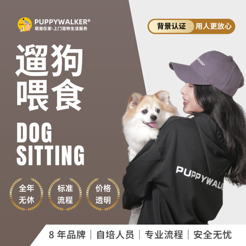 上门喂养遛狗宠物服务春节预约