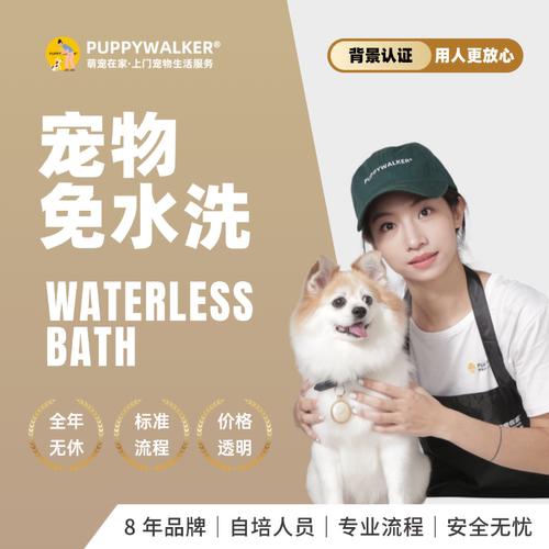 萌宠在家宠物上门狗狗免水洗除味