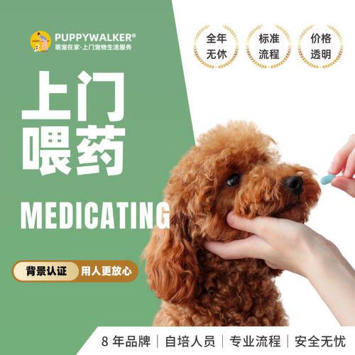萌宠在家宠物上门给猫咪狗狗喂药