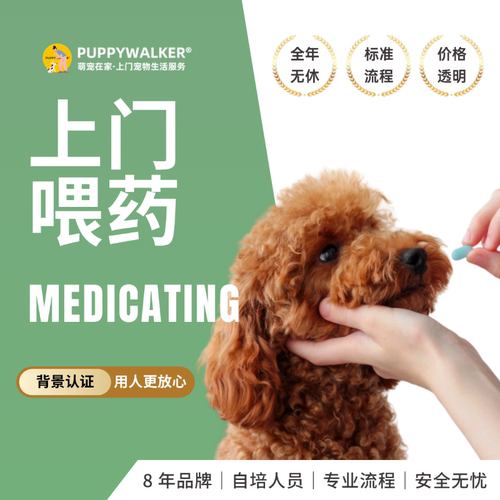 萌宠在家宠物上门给猫咪狗狗喂药