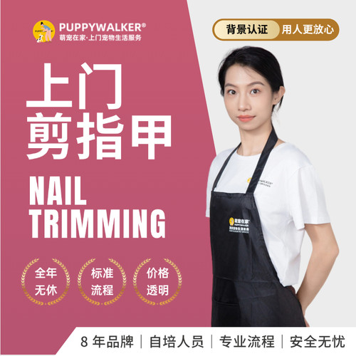萌宠在家宠物上门猫咪狗狗剪指甲