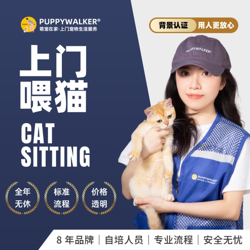 萌宠在家上门喂猫宠物服务铲屎