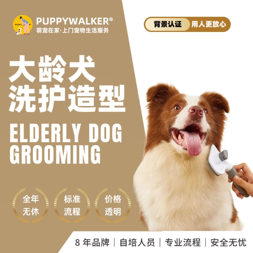 上门洗狗剪毛造型大龄犬7岁以上