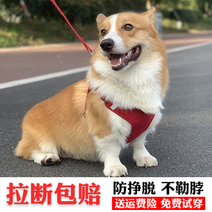 背心式狗狗牵引绳小型犬遛狗绳子猫咪牵引绳狗链子胸背带宠物用品