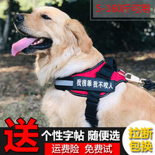 背心式狗狗防爆冲金毛萨摩中项圈1