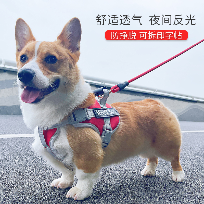 狗牵引绳防挣脱爆冲可伸缩狗绳子