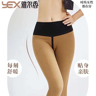 鲨鱼裤 外穿显瘦加绒保暖裤 秋冬女士无痕高腰塑型裤 雅尔香