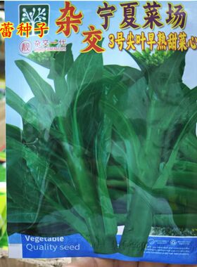 杂交宁夏菜场3号尖叶甜菜心种子多芽无渣菜心夏季耐热青菜蔬菜籽