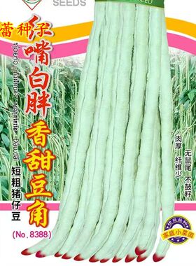 红嘴白胖甜豆角种子厚肉香甜豆角耐热春夏秋季蔬菜孑高产豆角籽