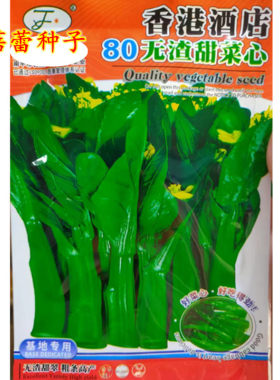 香港酒店80无渣甜菜心种籽子耐热夏季种青菜广东菜心早熟蔬菜种孑