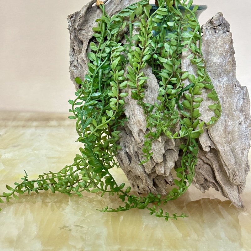 仿真多肉情人泪塑料垂挂假花吊篮装饰家居摆件客厅庭院绿植造景