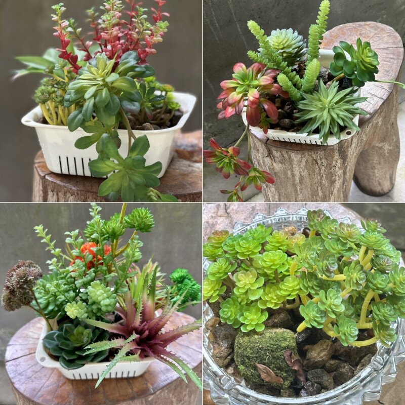 高仿塑料沙漠植物自然风仿真多肉