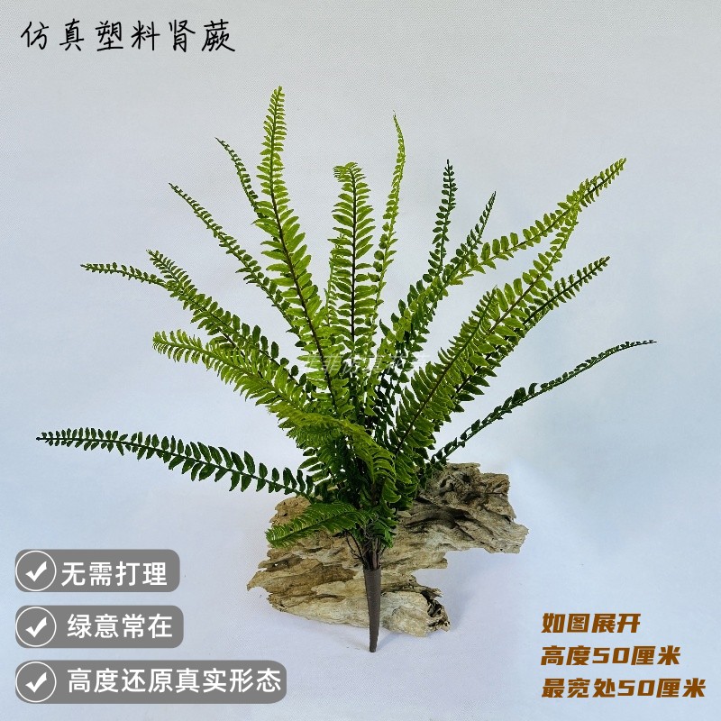 仿真绿植肾蕨蕨类植物假蕨类植物