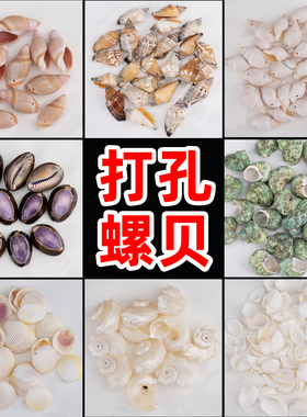 贝壳海螺打孔DIY门窗帘风铃