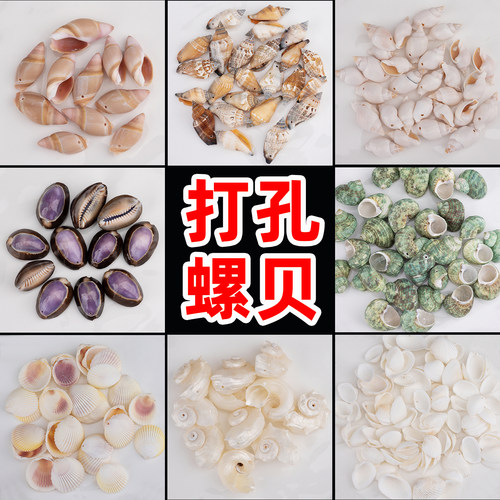 贝壳海螺打孔DIY门窗帘风铃
