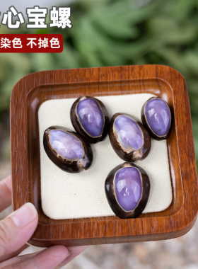 天然海螺贝壳紫心宝螺儿童科普家居diy相框装饰鱼缸摆件收藏礼物