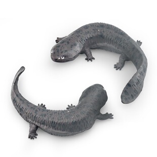 实心仿真两栖动物玩具模型娃娃鱼山椒鱼大鲵儿童认知装饰摆件