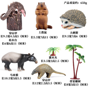 儿童认知玩具仿真哺乳动物模型穿山甲土拨鼠刺猬犰狳食蚁兽套装
