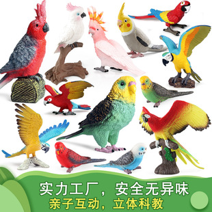 鹦鹉仿真鸟类摆件动物模型老鹰玩具儿童认知孔雀巨嘴鸟猫头鹰犀鸟