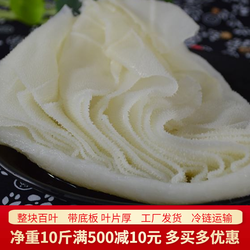 新鲜白牛百叶10斤食用白毛肚牛杂火锅麻辣烫串串香江浙沪皖包邮-封面