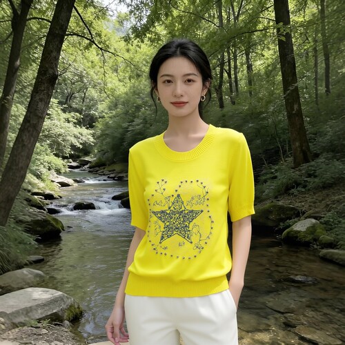 2026夏莱L系列1 衣佳人折扣女装 圆领 星星图案显白短袖针织衫 94