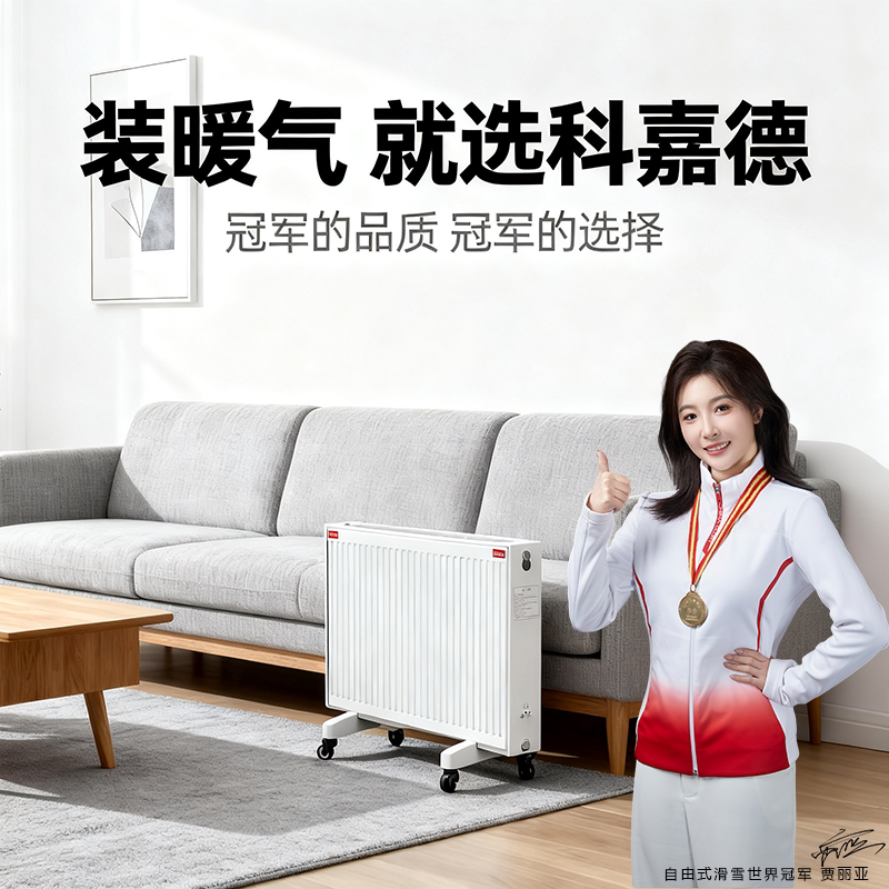 科嘉德水循环电暖气家用取暖器不干燥升温快电暖器明装暖气片