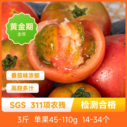 草莓甜番果肉晶莹沙瓤软糯入口即化酸甜浓郁新鲜番茄西红柿包邮