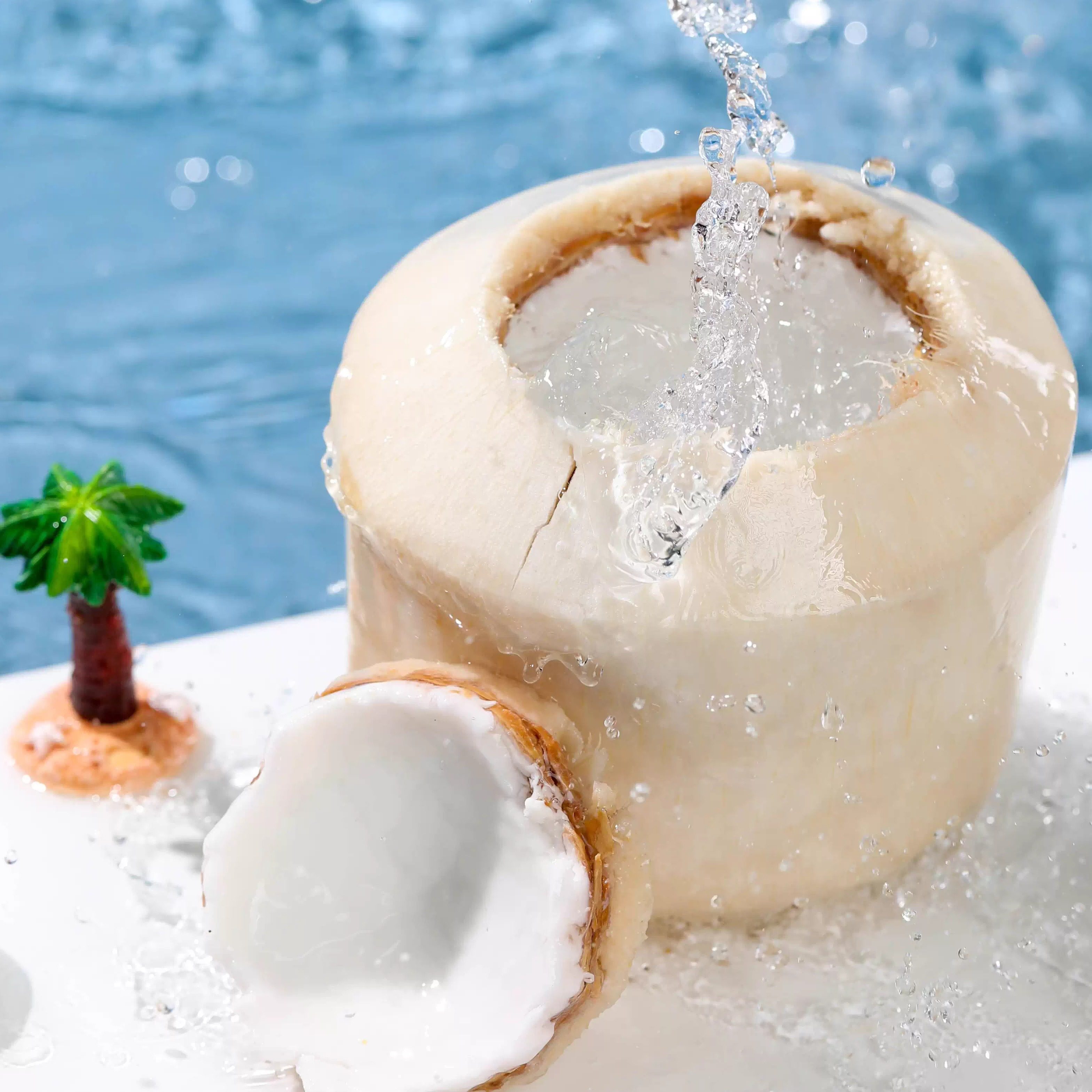 泰国青椰椰汁清甜椰肉鲜嫩汁水充沛甜度稳定营养丰富新鲜包邮