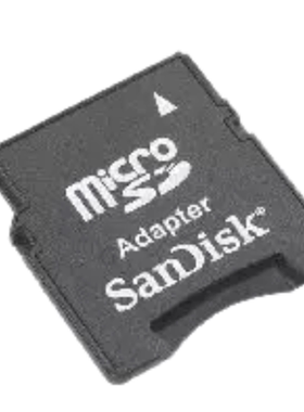 Sandisk/闪迪 闪存卡转接套 microSD TF T-Flash转miniSD卡适配器