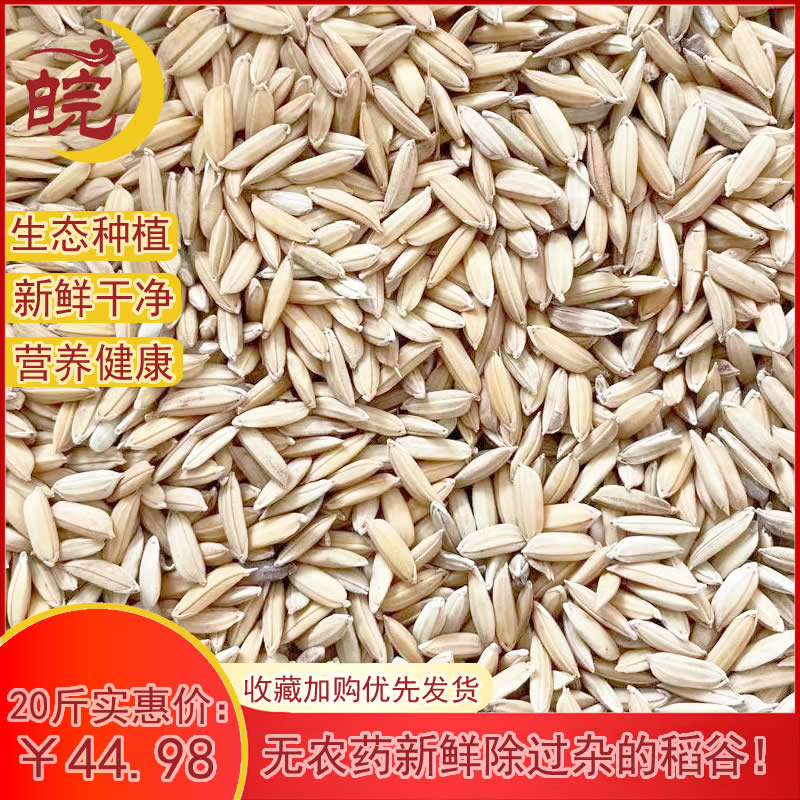 水稻粮食安徽农家自种稻子