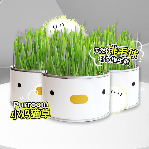 白猪商店Purroom猫草猫零食化毛
