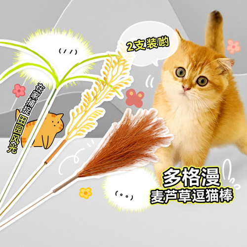 白猪商店多格漫猫玩具麦芦草