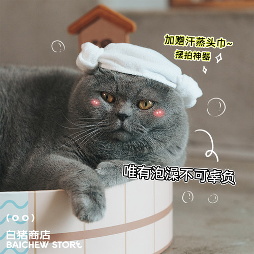 白猪商店Purlab温泉汤猫抓板猫窝