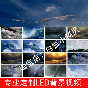 高尔基-海燕朗诵伴奏背景视频海燕演讲朗诵学生课本公开课