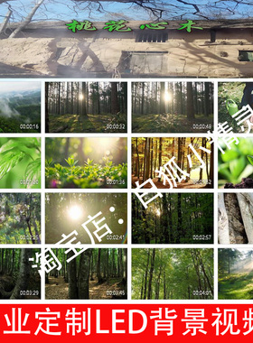 桃花心木 S24619伴奏朗诵背景视频 儿童诗朗诵演讲LED大屏幕背景