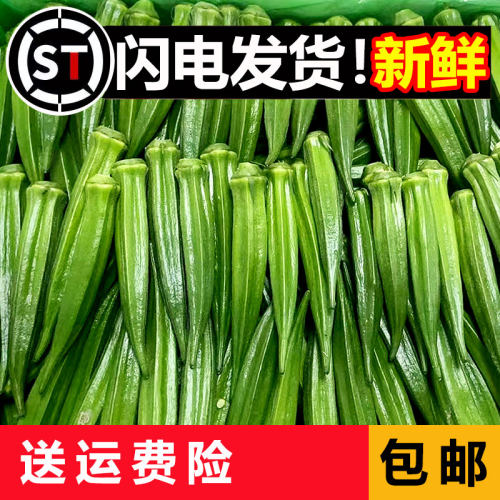 【实物和图片一样嫩】2026年现摘新鲜黄秋葵应季蔬菜鲜秋葵发货快