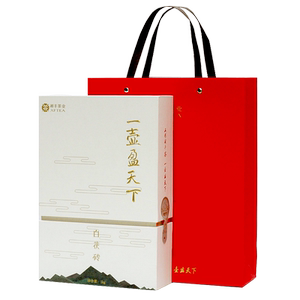 年货茶礼盒湘丰一壶盈天下白茯砖