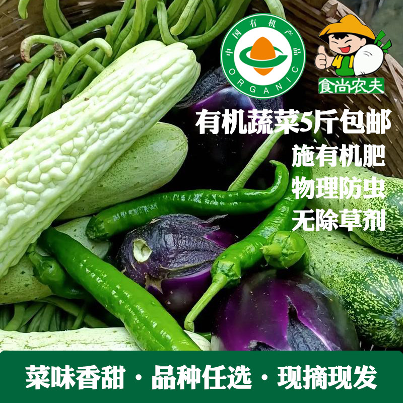 有机蔬菜鲜嫩可口有机可溯源