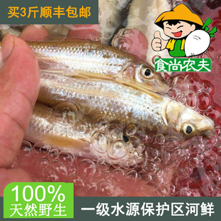 纯天然沙勾鱼棍子鱼500克 原生态鲜鱼配送 广东满3斤顺丰包邮