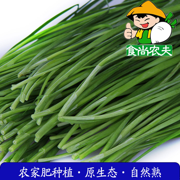 农家肥无农残韭菜食尚农夫美味