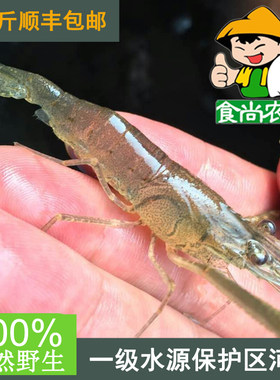 纯天然水库河虾食尚农夫