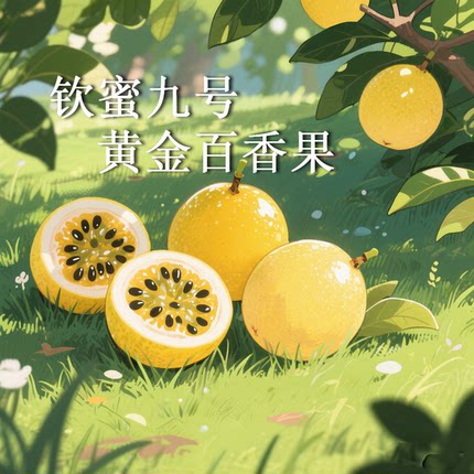 钦蜜9号黄金百香果5斤装黄金百香果包邮
