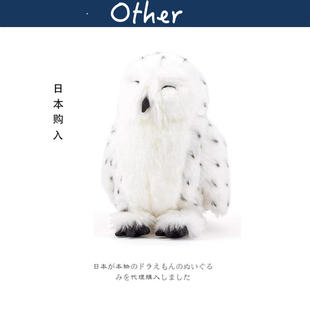 日本colorata正版仿真动物白色晚安猫头鹰公仔玩偶娃娃毛绒玩具
