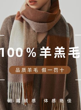 欧美26秋冬新100%纯羊毛围巾高级氛围感格子披肩百搭保暖流苏围脖