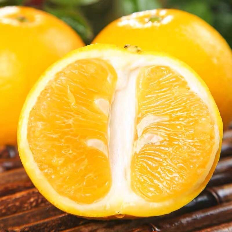 福建爆汁甜葡萄柚9斤柚子水果新鲜台湾品种黄金葡萄柚西柚5包邮