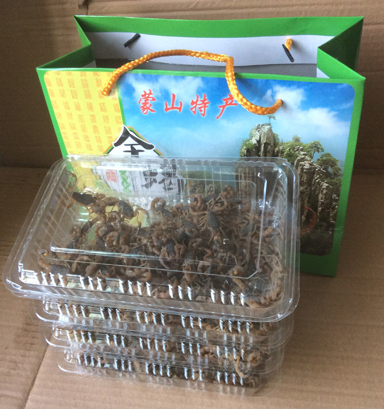 沂蒙蝎子活体野性十足全蝎活蝎子蝎类