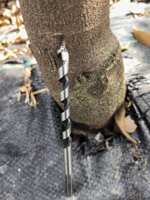 沉香奇楠打孔钻头支罗钻纯手工打磨打孔圆滑漂亮耐用包邮