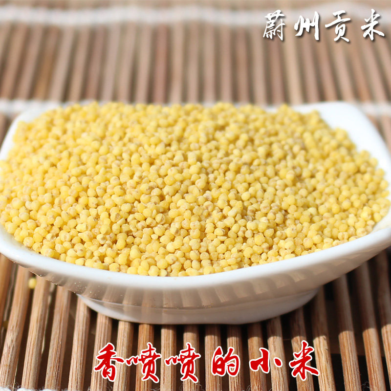 不好包退 蔚州贡米自家种  新黄小米粥 泌州 粮食 月子米 5斤包邮
